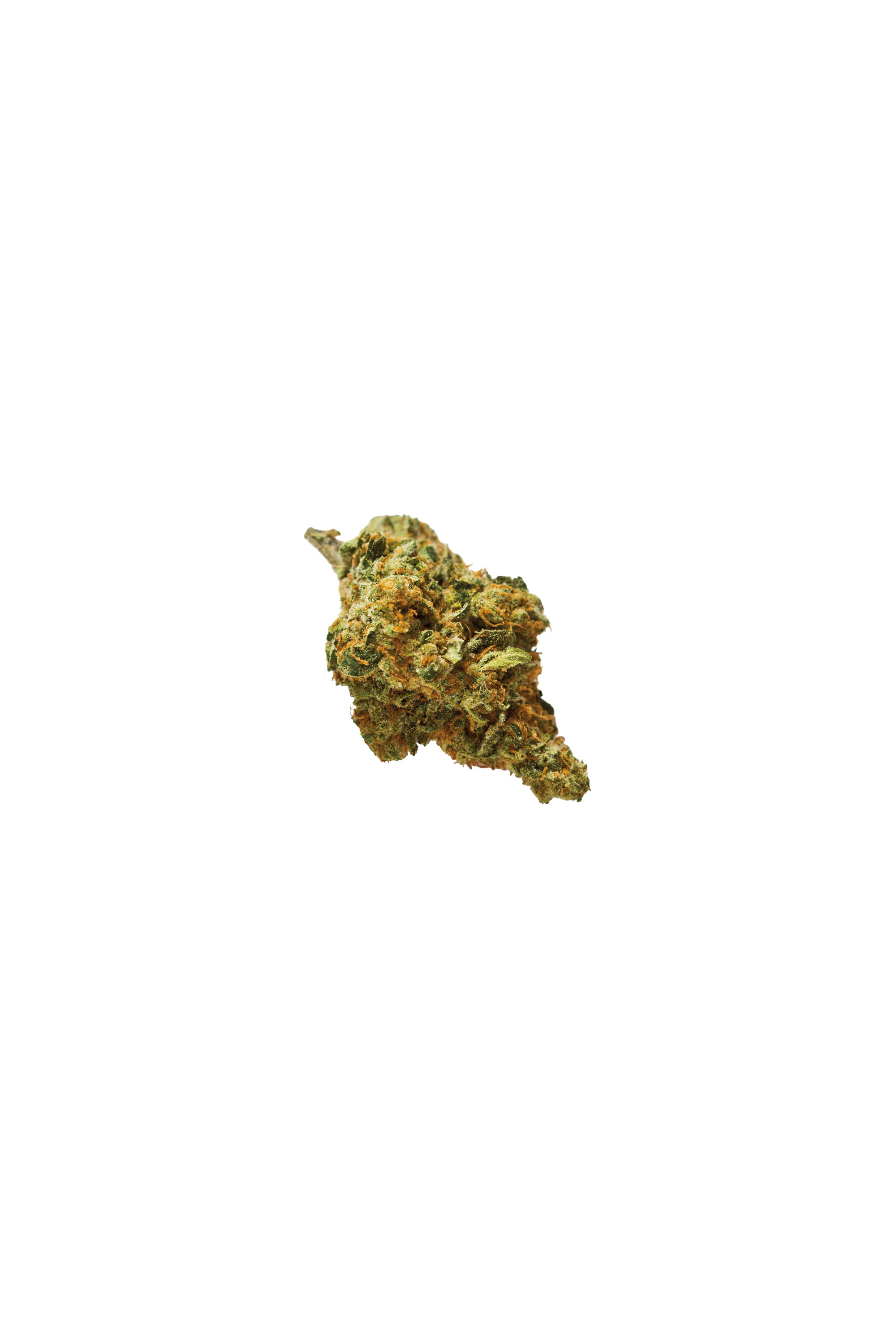 0218 cannabis bud m9dqts
