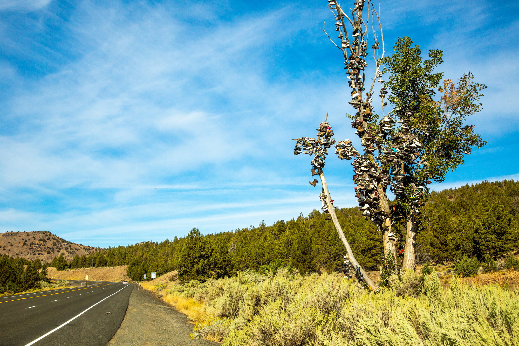 10 Kitschy Roadside Attractions to Visit in Oregon 10 Kitschy Roadside Attractions to Visit in Oregon