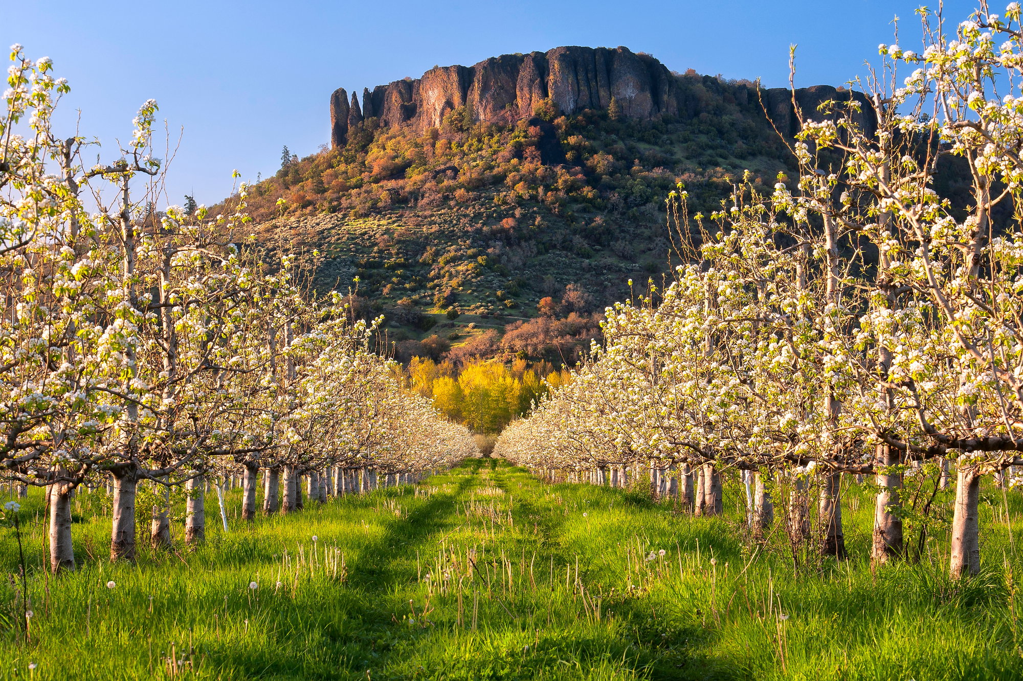 04202012 orchardslowertablerock 2 d89itc