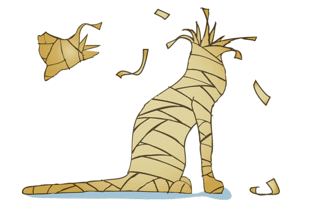 How to Make a Mummy How to Make a Mummy