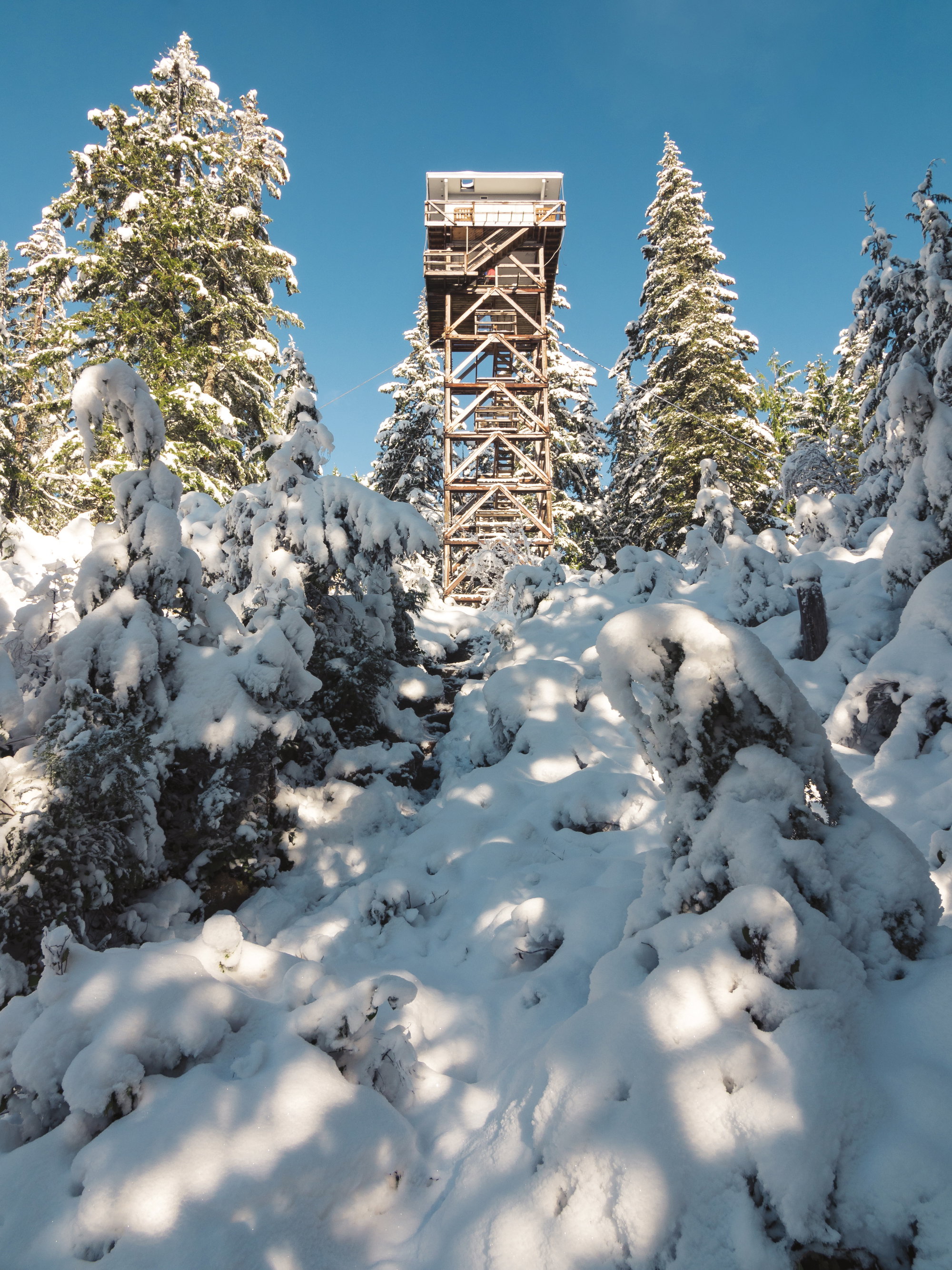 This Washington Lookout Tower Offers the Ultimate Solitude This Washington Lookout Tower Offers the Ultimate Solitude