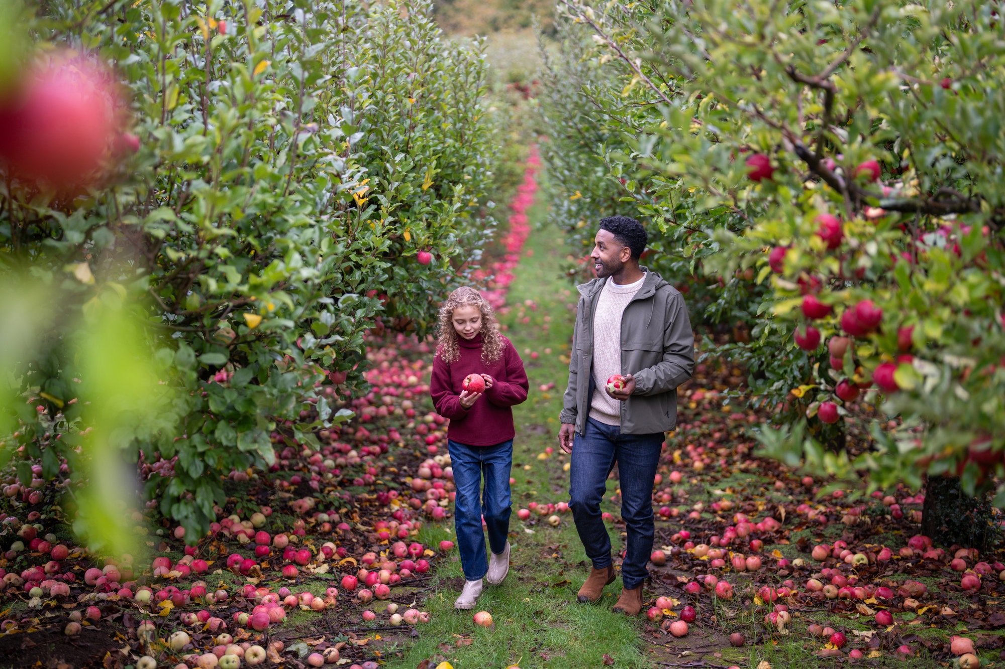 Unwind This Autumn in Tualatin Valley Unwind This Autumn in Tualatin Valley