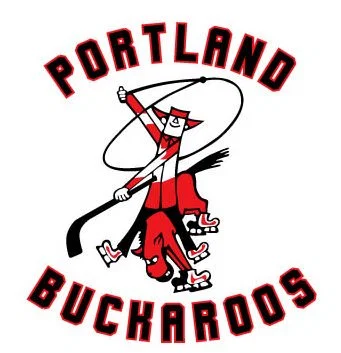 An illustration of a cowboy, with a lasso and a hockey stick, wearing ice skates while riding a horse that is also wearing ice skates