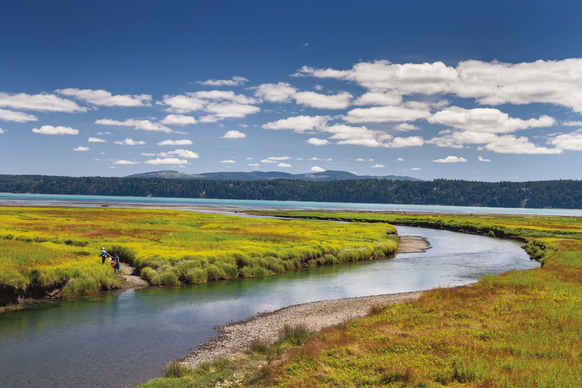 Slurp Oysters and Geoduck Along This Dramatic Puget Sound Fjord Slurp Oysters and Geoduck Along This Dramatic Puget Sound Fjord