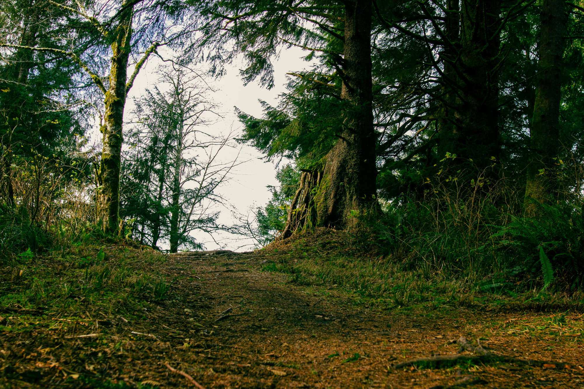 Hike of the Month: Neahkahnie Gap Trail Hike of the Month: Neahkahnie Gap Trail
