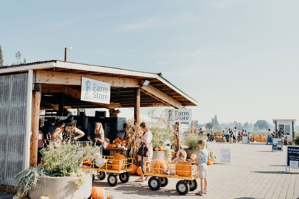 13 Great Pumpkin Patches to Visit near Portland This Fall 13 Great Pumpkin Patches to Visit near Portland This Fall