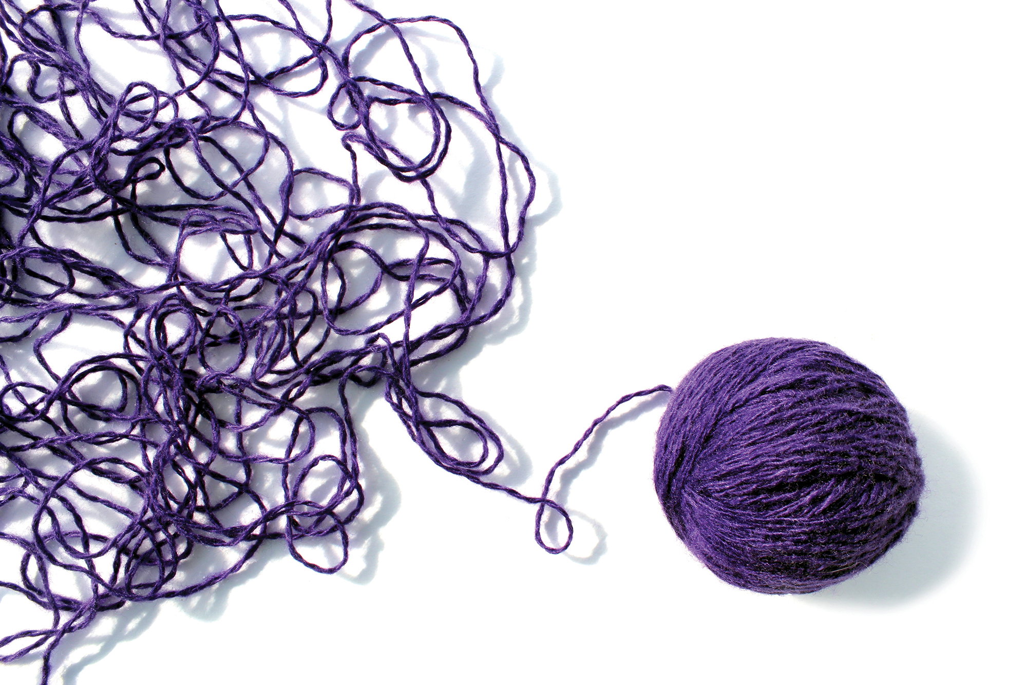 Portland’s Knitters Are In Stitches and Having a Ball Portland’s Knitters Are In Stitches and Having a Ball