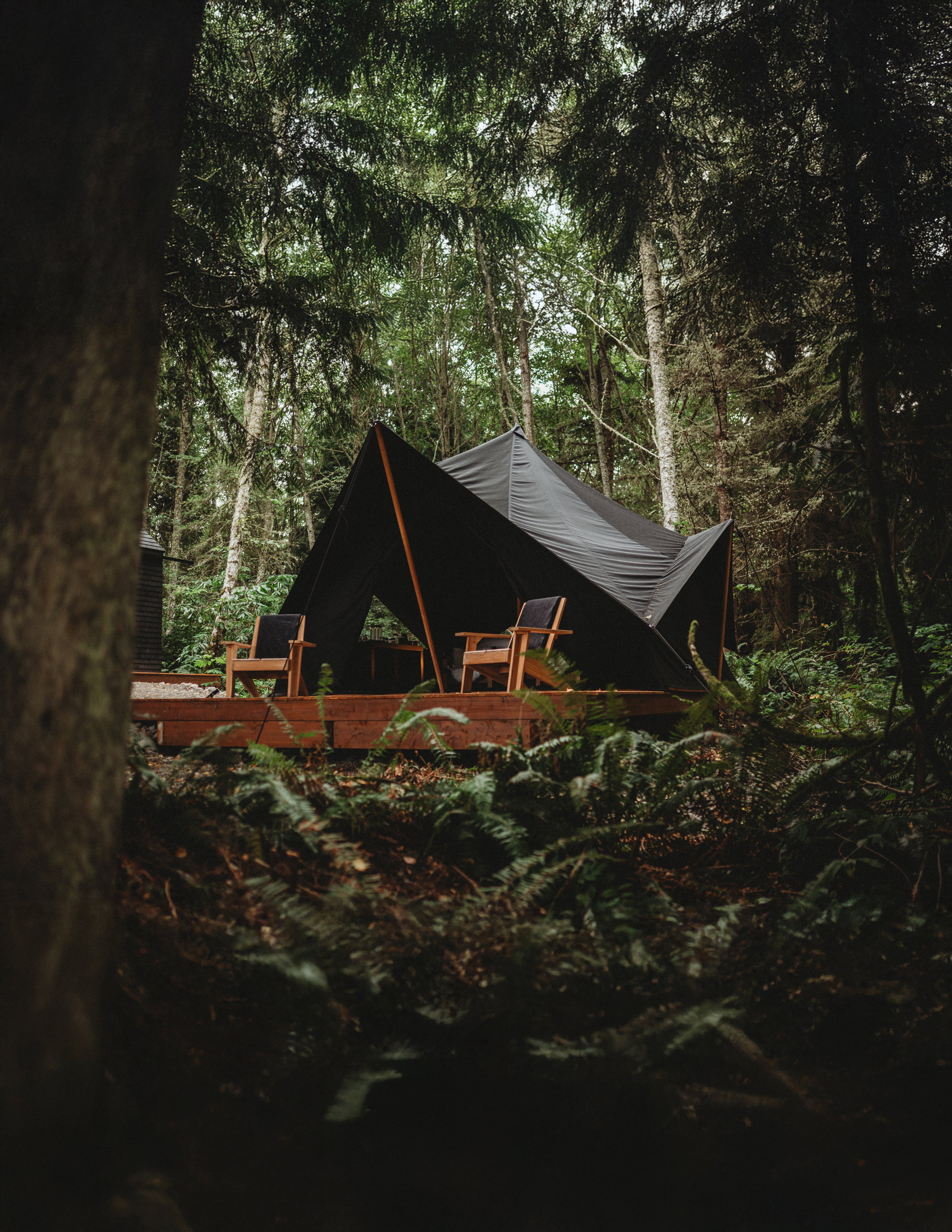 In Search of Seclusion on the Olympic Peninsula In Search of Seclusion on the Olympic Peninsula