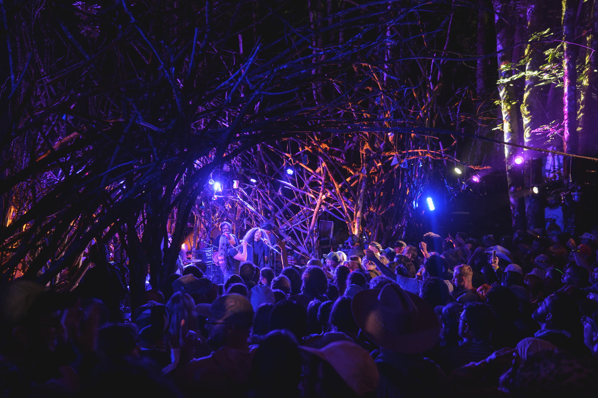 Top Performances of Pickathon 2026 Top Performances of Pickathon 2026