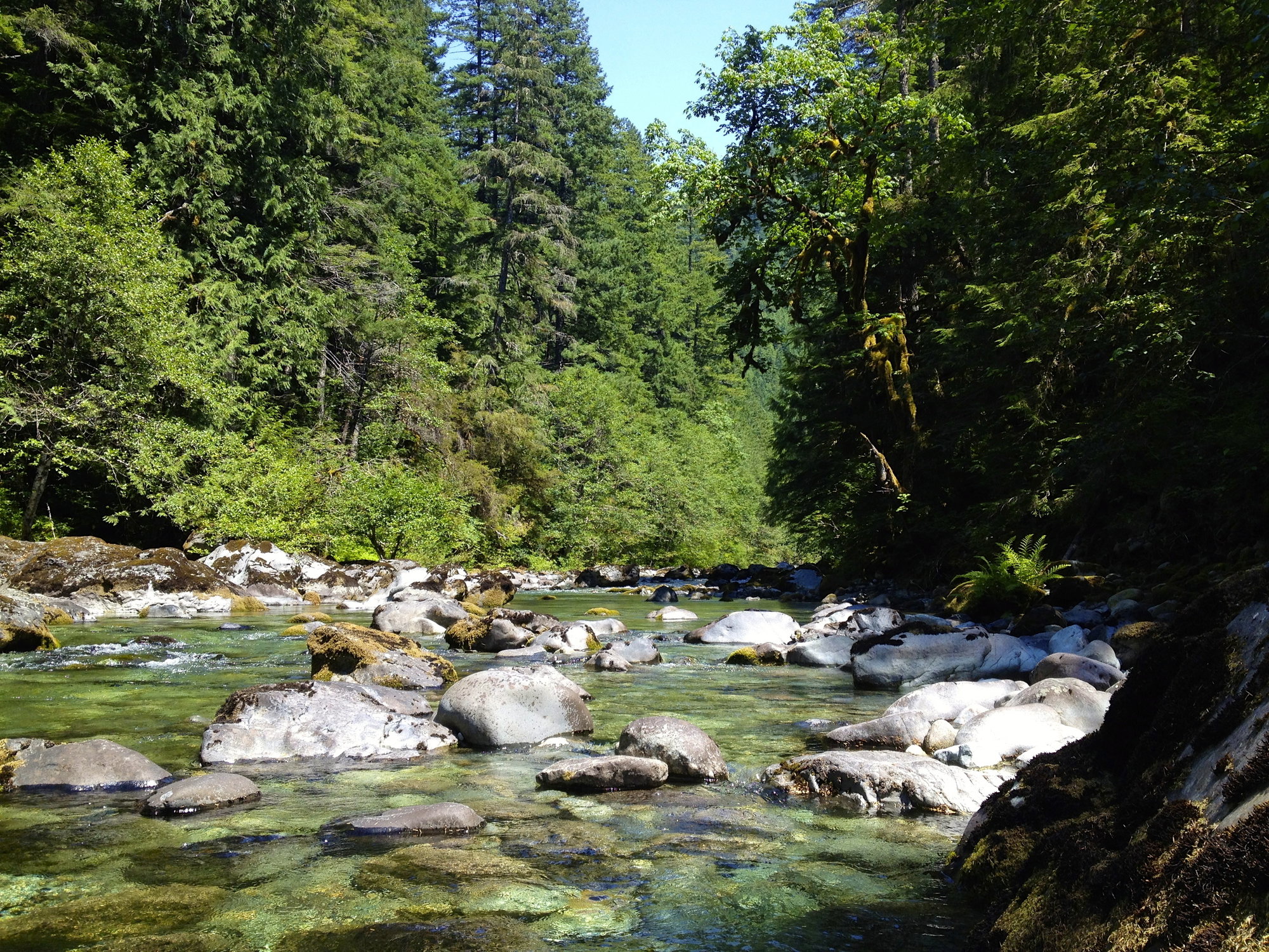 Pomo 0816 swimming holes fame opal creek wilderness ocaubn