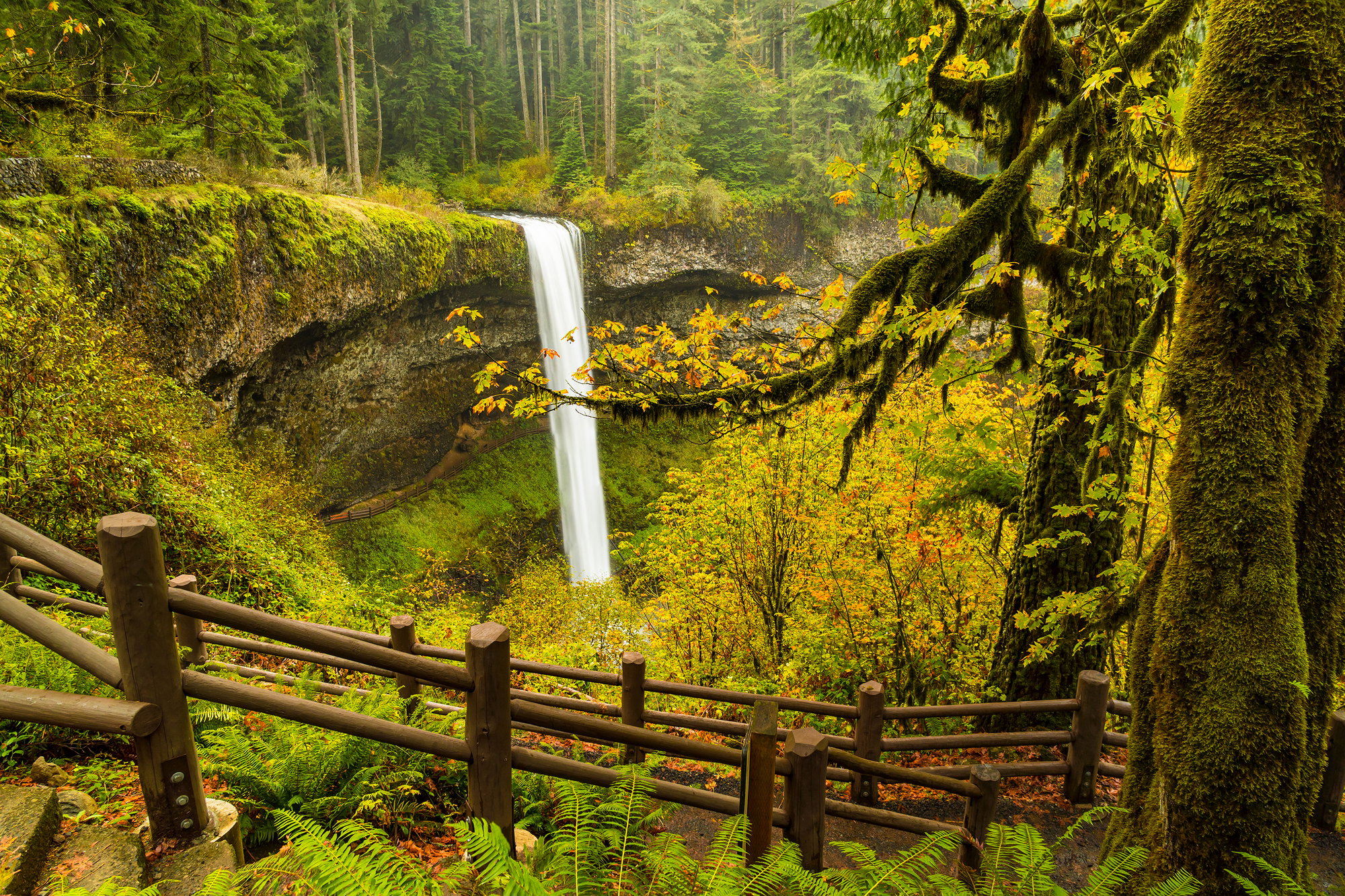 9 Sublime Fall Hikes In and Around Portland 9 Sublime Fall Hikes In and Around Portland
