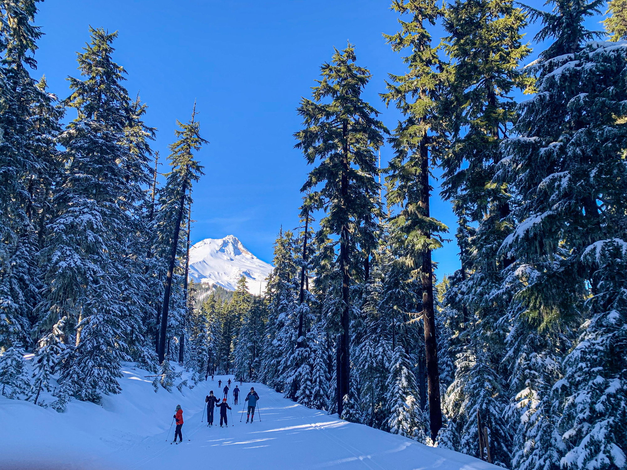 Where to Sled, Snowshoe, and Play in the Snow in Oregon Where to Sled, Snowshoe, and Play in the Snow in Oregon