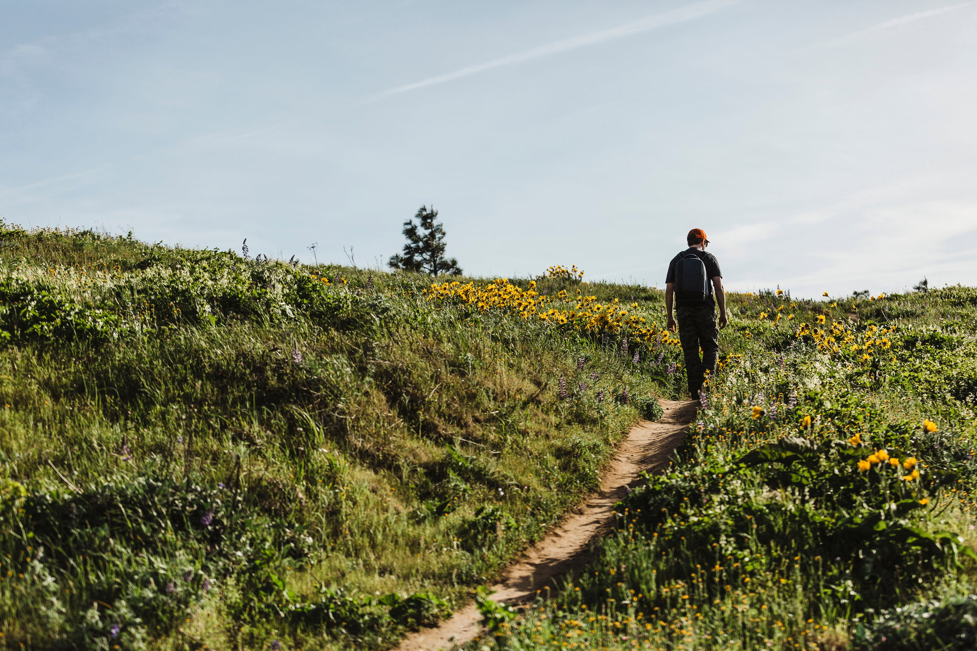 9 Picture-Perfect Wildflower Hikes Within 90 Minutes of Portland 9 Picture-Perfect Wildflower Hikes Within 90 Minutes of Portland